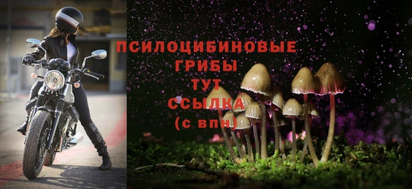 эйфоретик Абаза